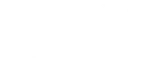 Logo blanc Le Mans Innovation