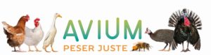 les Startups incubées 4